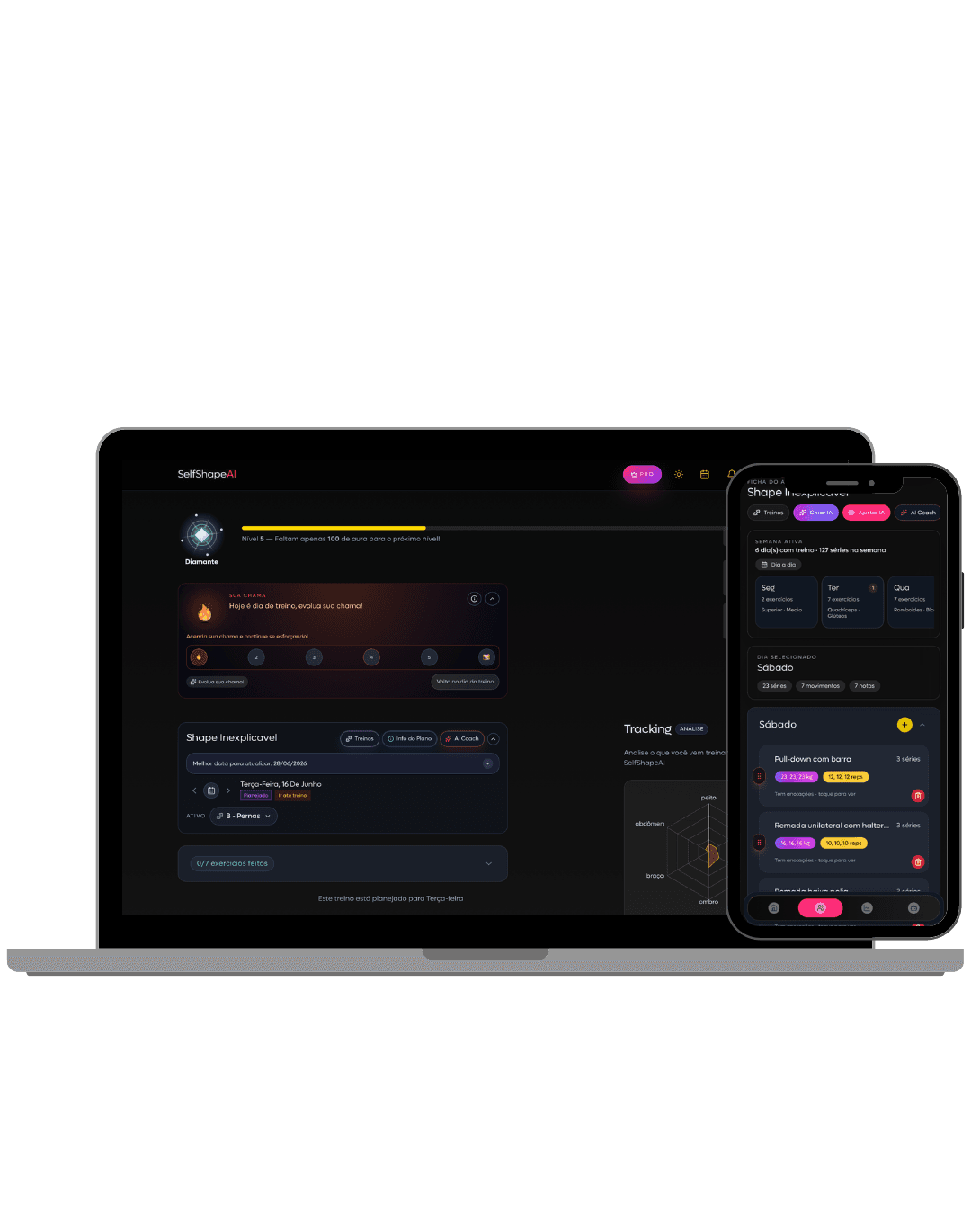 Dashboard web da SelfShapeAI no navegador.