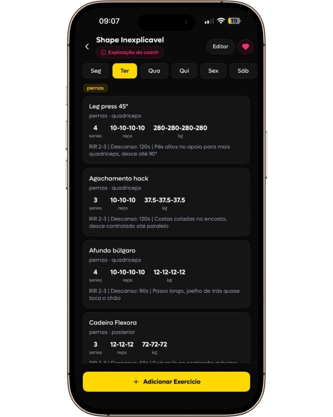 Plano do dia na SelfShapeAI com exercícios, séries, repetições, cargas, RIR e orientações de execução.